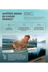 Coolant Essential Konsantre 1 Litre (Mavi) Antifriz